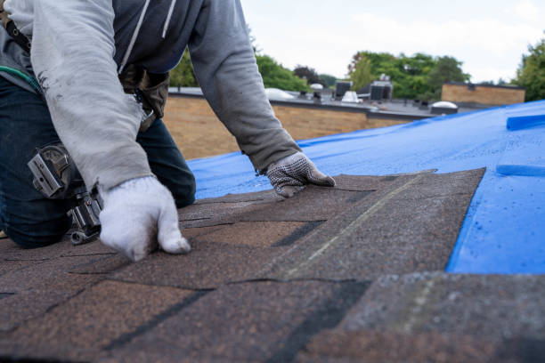 Best Slate Roofing Contractor  in Ly Lake, IL