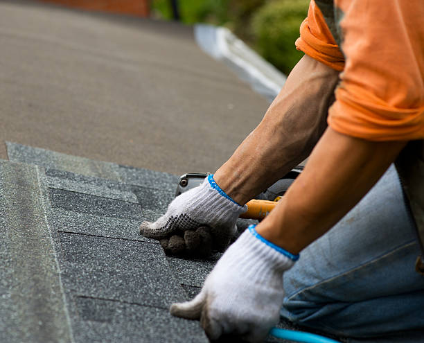 Best Roof Restoration Services  in Ly Lake, IL