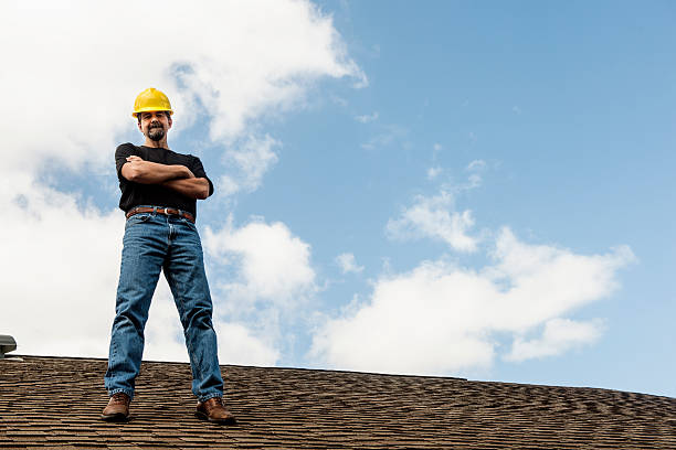 Best Metal Roofing Contractor  in Ly Lake, IL