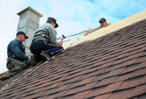 Best Roof Repair Services  in Ly Lake, IL