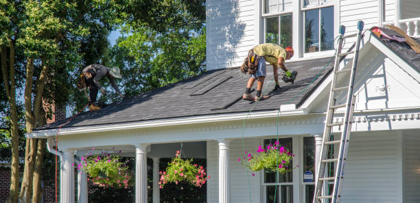Roof Gutter Cleaning in Lily Lake, IL