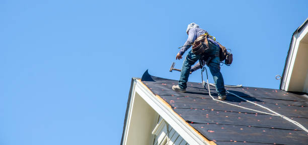 Best Roof Waterproofing Services  in Ly Lake, IL
